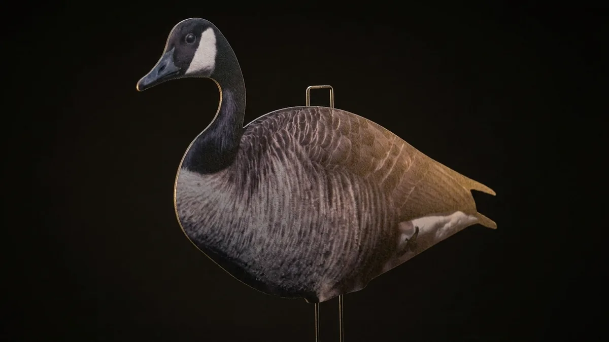 A Core Series Canada goose silhouette decoy